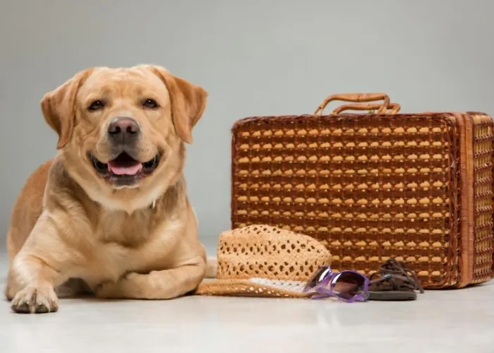 Apartment Loft En Asturias 1 *